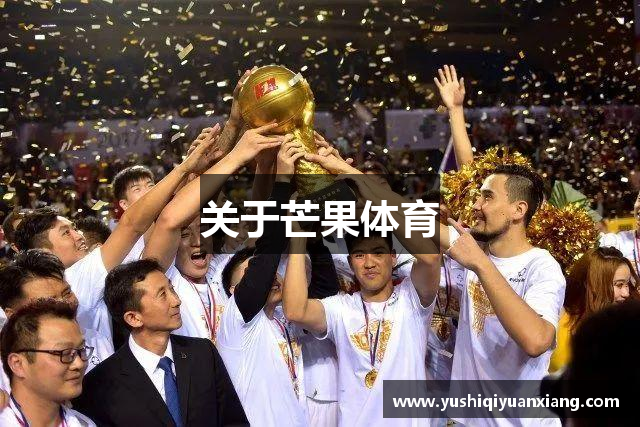关于芒果体育